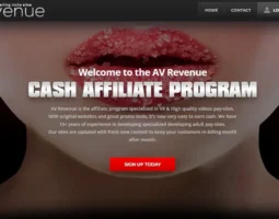 AVRevenue