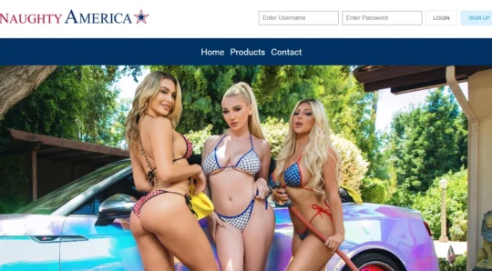 Naughty America VR