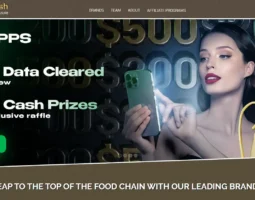 PussyCash (ImLive)