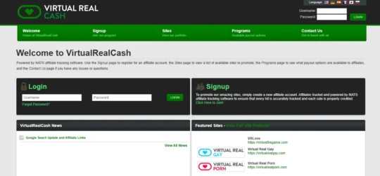 Virtual Real Cash (VirtualRealPorn)