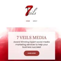 7 Veils