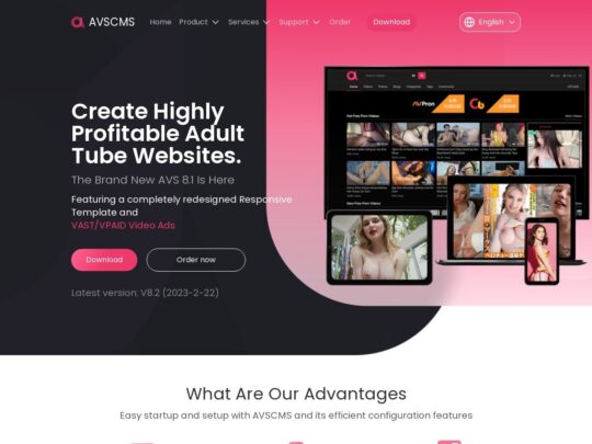 Adult Video Script (AVS)