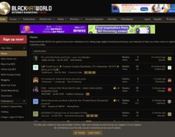 BlackHatWorld (BHW)