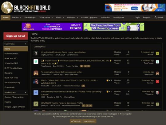 BlackHatWorld (BHW)