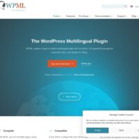 WPML (WordPress Multilingual Plugin)