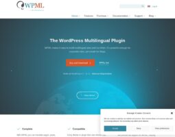 WPML (WordPress Multilingual Plugin)
